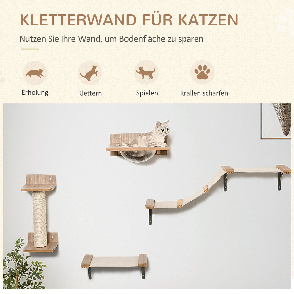 Set For Cats With Scratching Post, Cat Stairs And Hammock, Light Brown, Sisal, Acrylic, Pine
