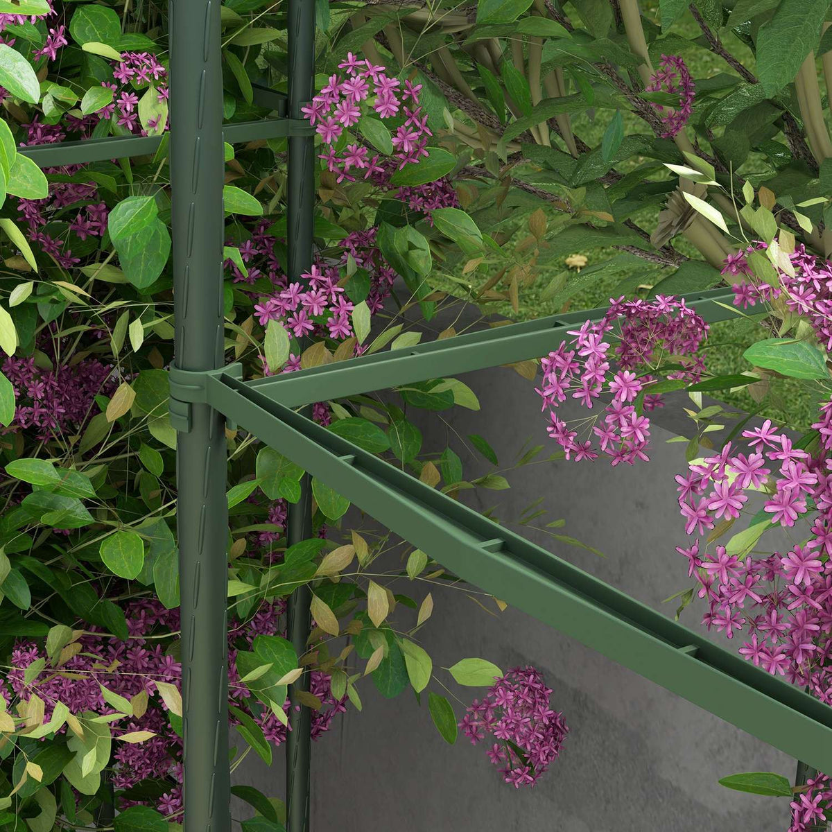 Set Of 2 Trellis With Grow Bag, Flower Trellis, Trellis, Plant Scaffold, Tomato Cage For Climbing Plants, Steel, Green