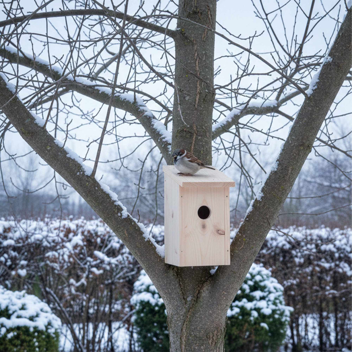 Set of 4 Fir Bird Nesting Boxes with Hinged Roof