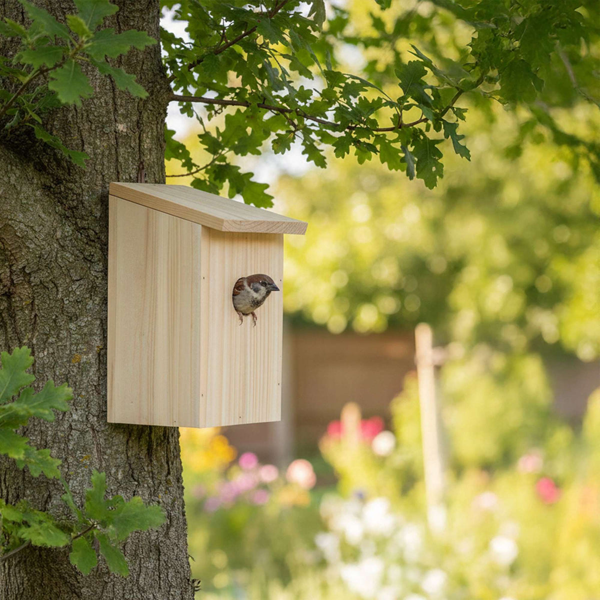 Set of 4 Fir Bird Nesting Boxes with Hinged Roof