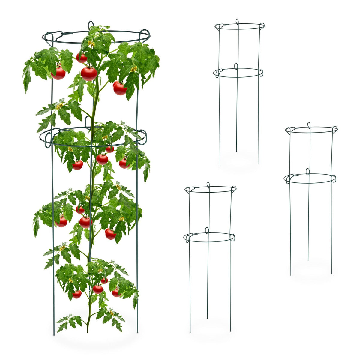 Set of 4 Plant Support Grow Rings