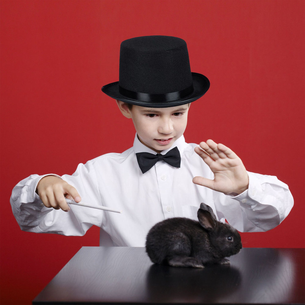 Set of 4 top hats