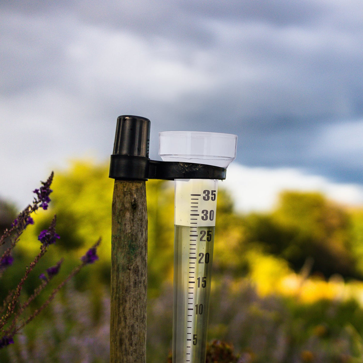 Set of 6 rain gauges