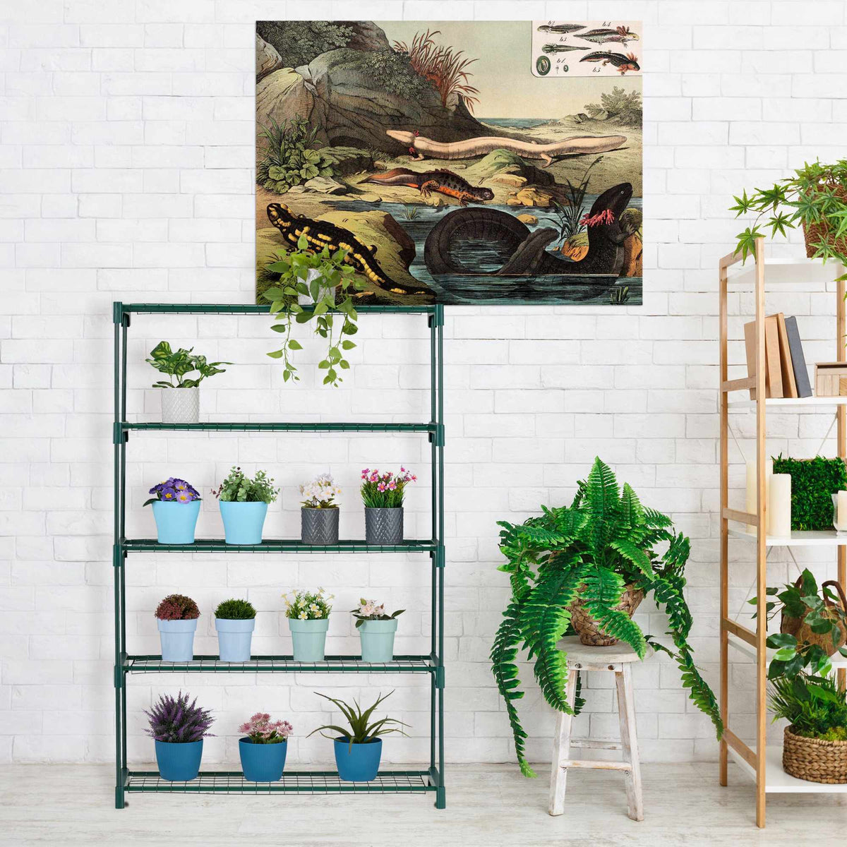 Shelf for plants 5 shelves