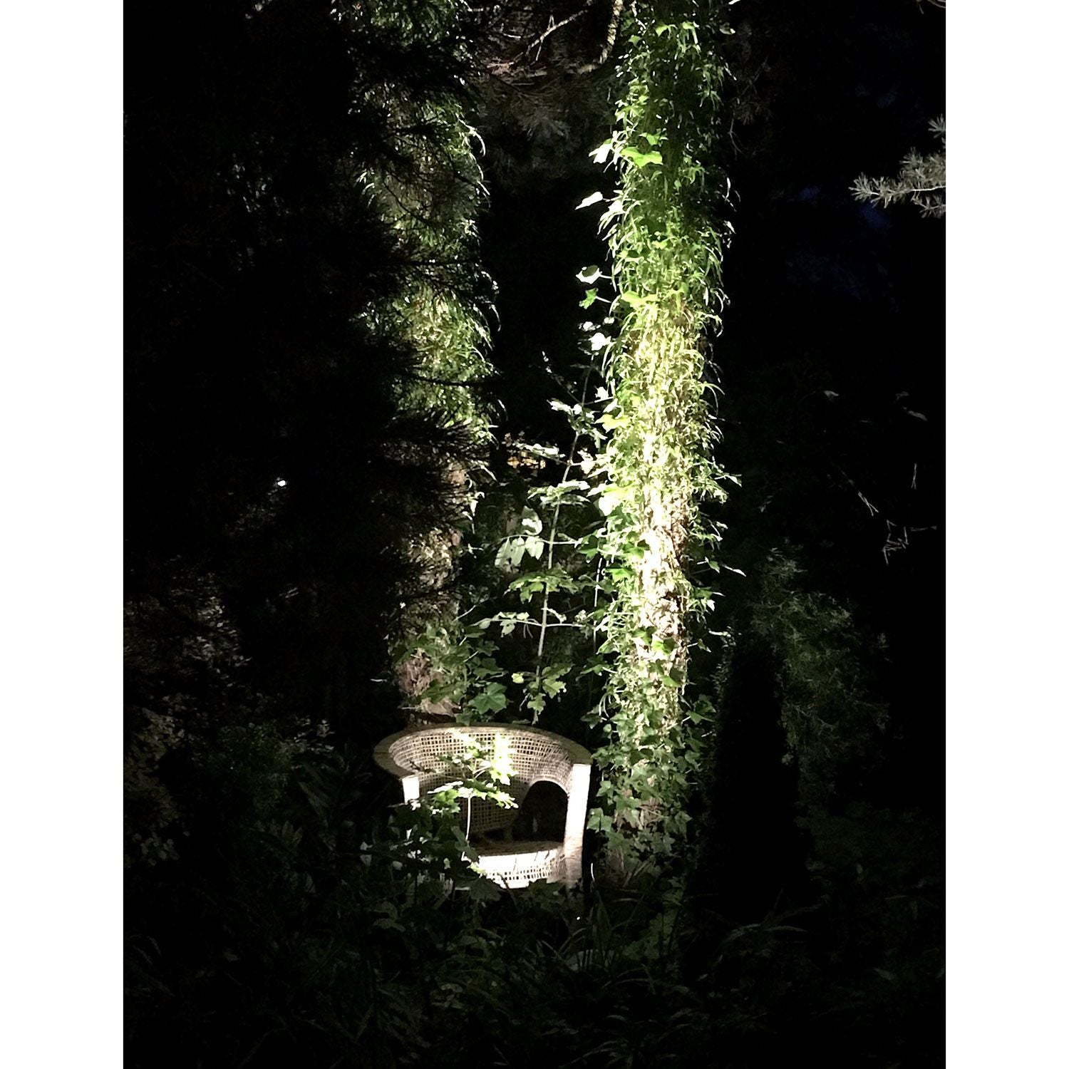 Sirius Spotlight Black