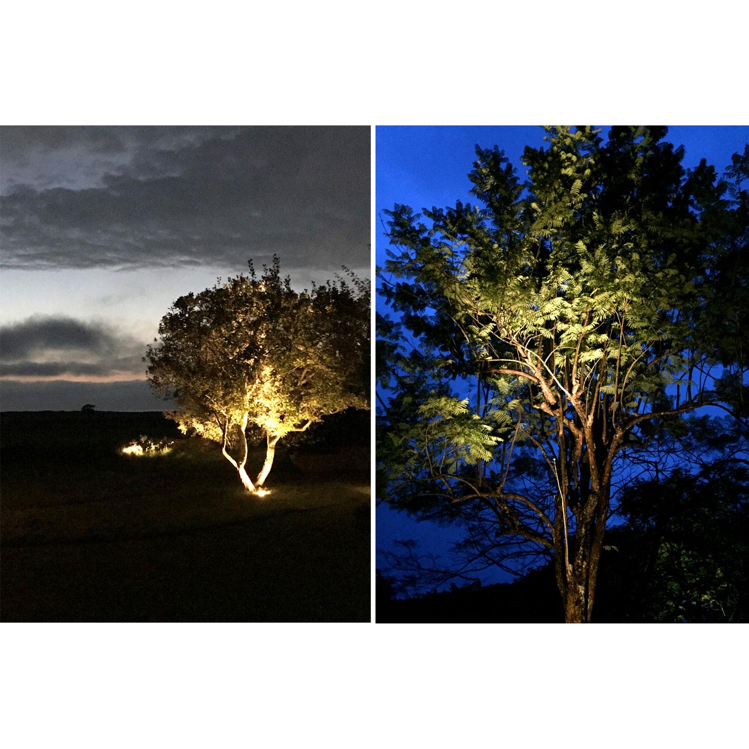 Sirius Spotlight Black