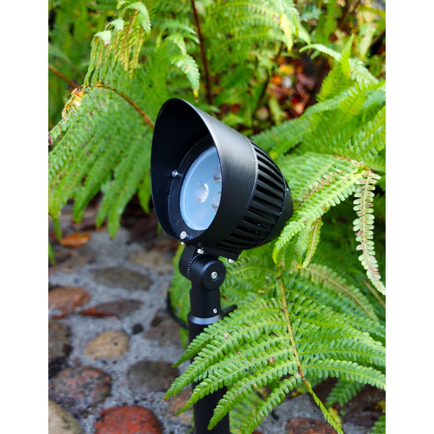 Sirius Spotlight Black