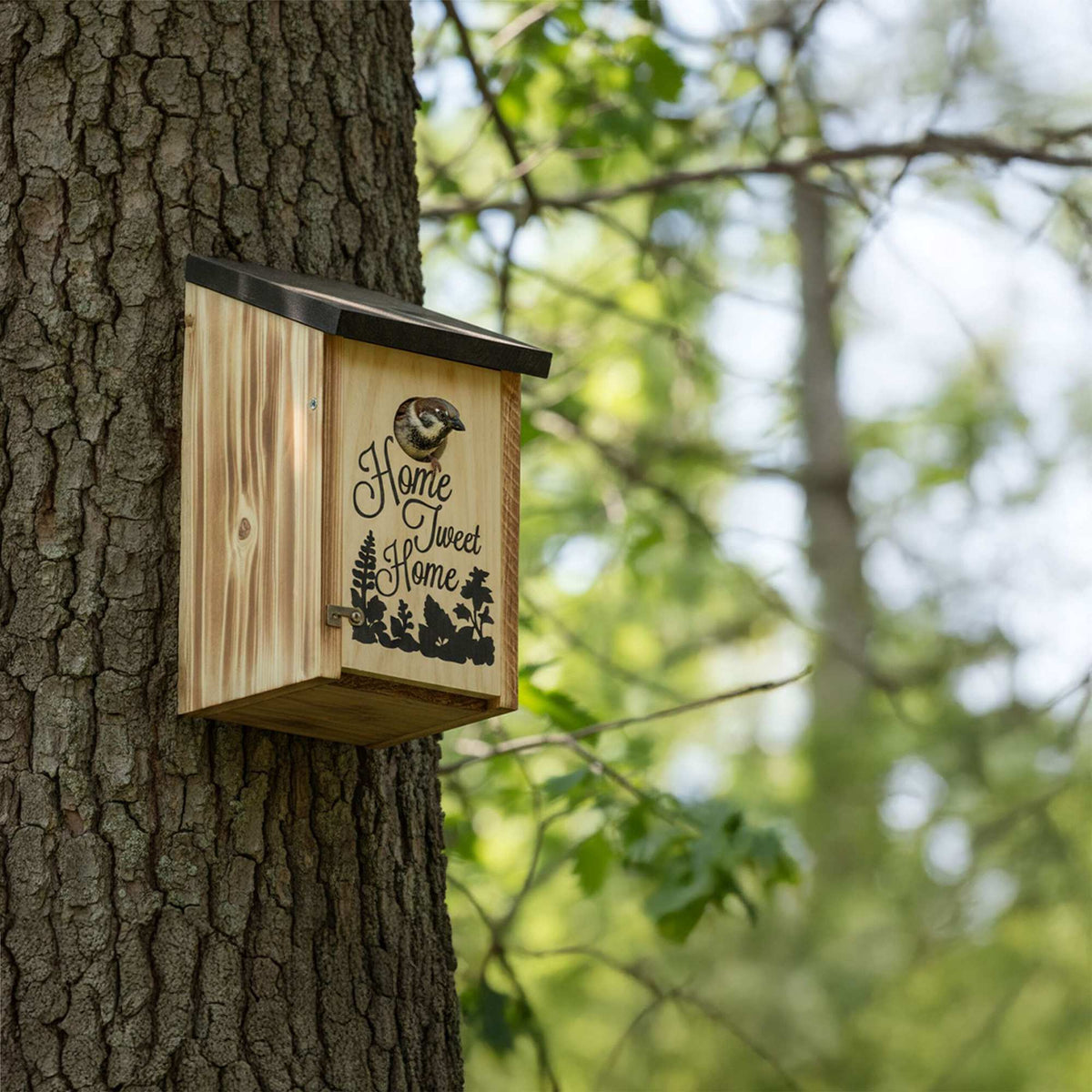 Small Bird Nesting Box with 3 cm Entrance