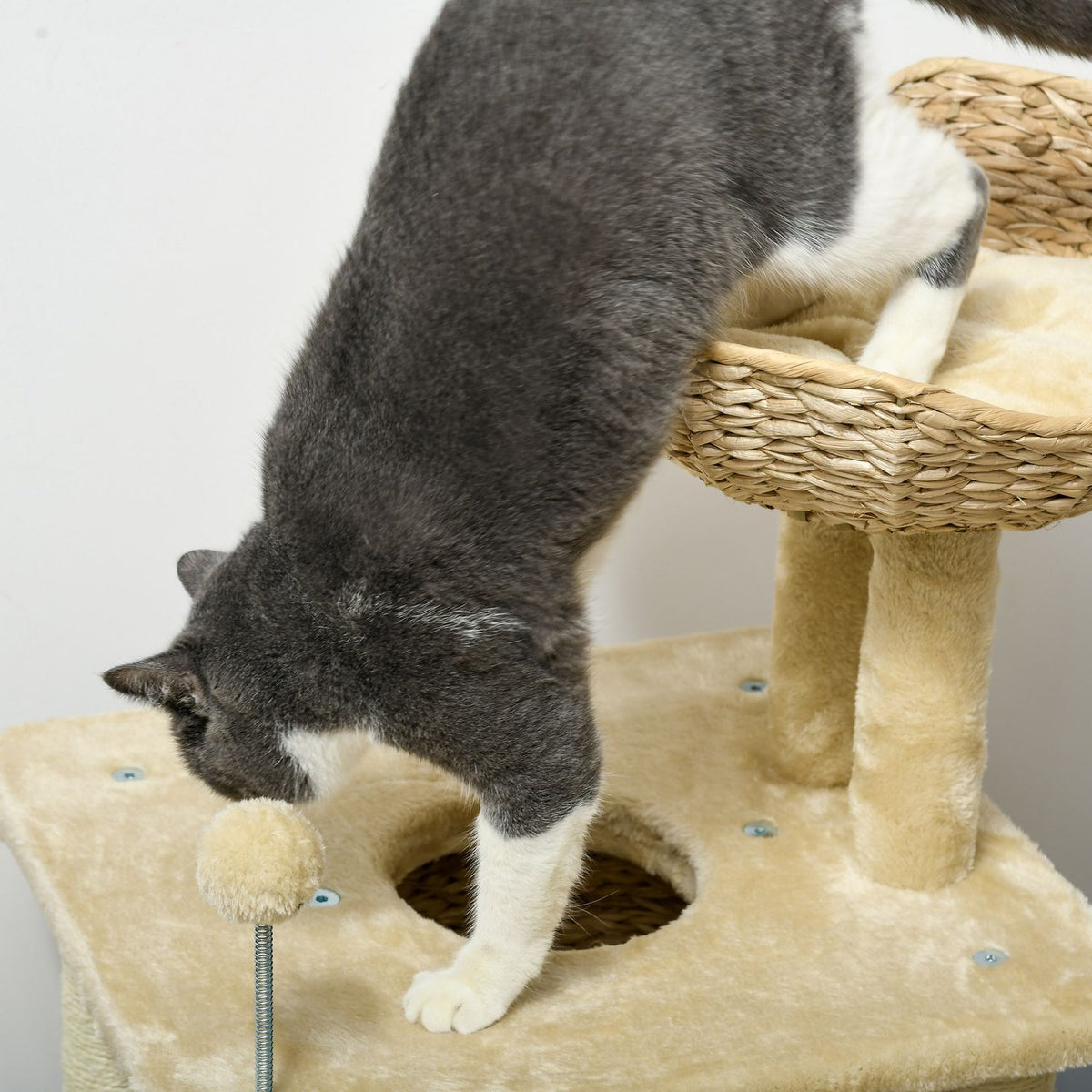 Small cat scratching post, 74 cm cat tree with cat cave, play ball, indoor climbing tower with bed, scratching furniture for cats up to 5 kg, beige