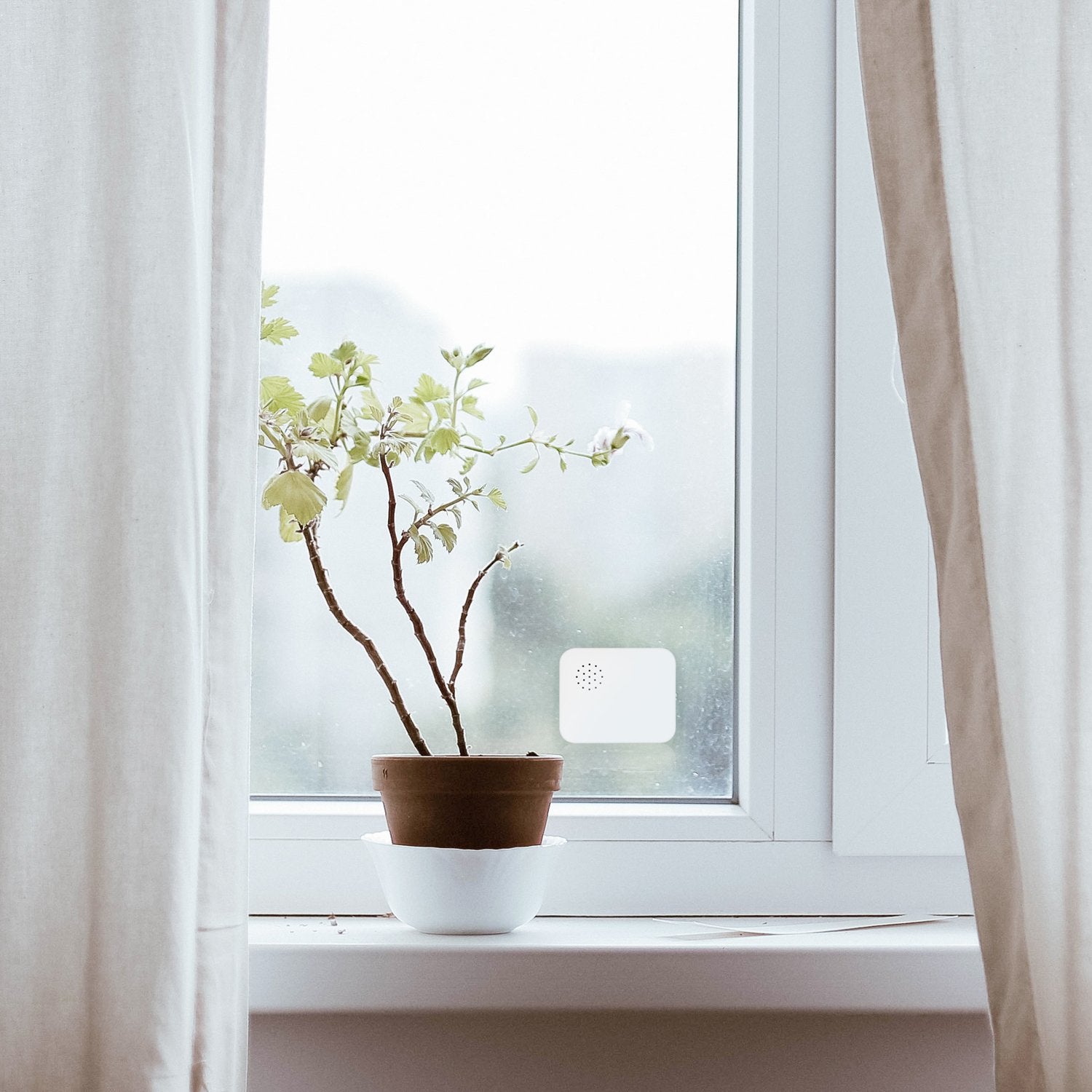 Smart Vibration Sensor Wifi Tuya