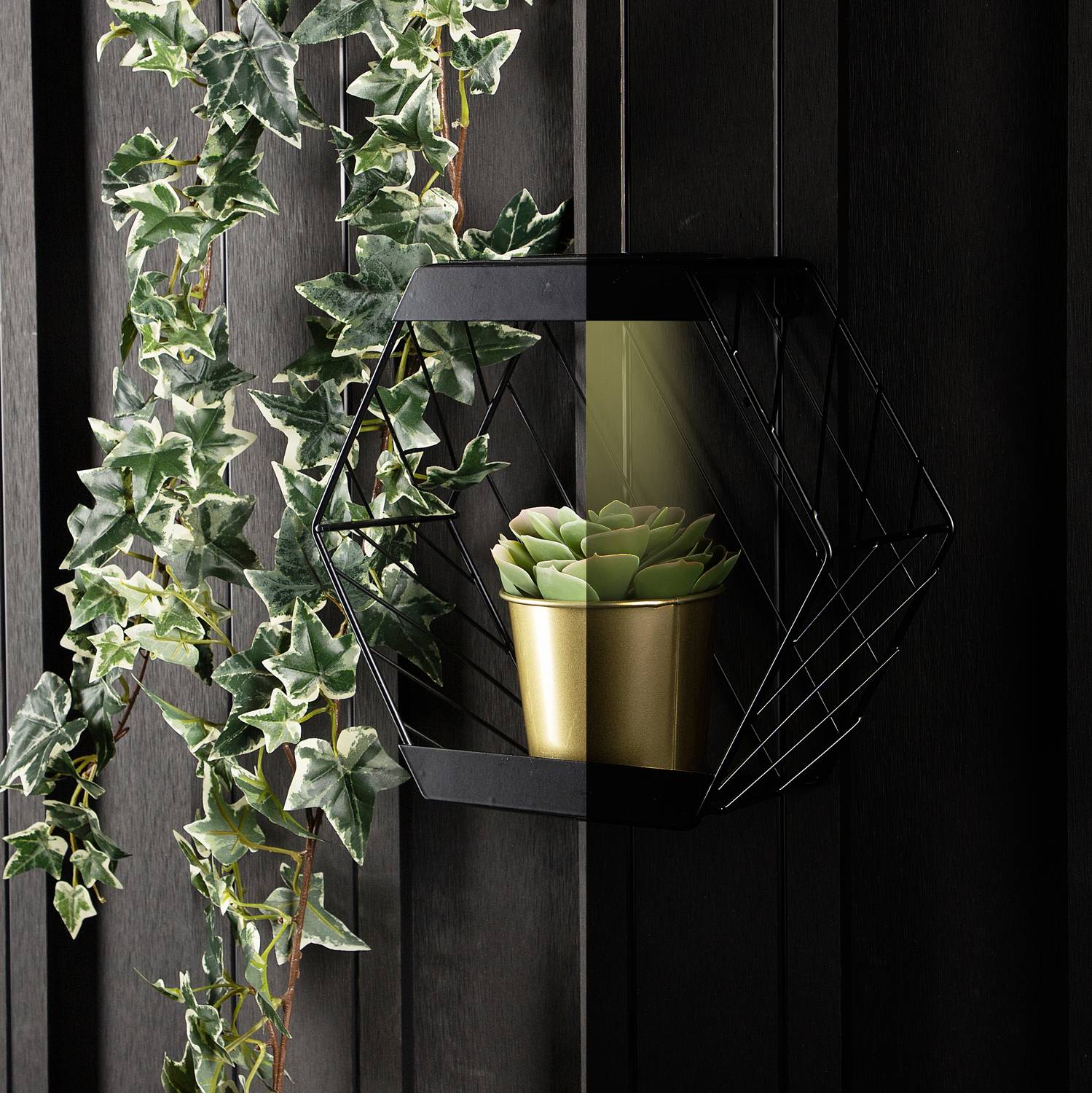 Solar-powered LED wall lamp with shelf for potted plants