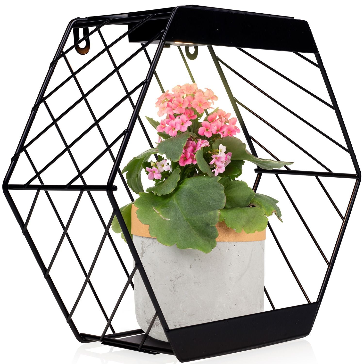 Solar-powered LED wall lamp with shelf for potted plants