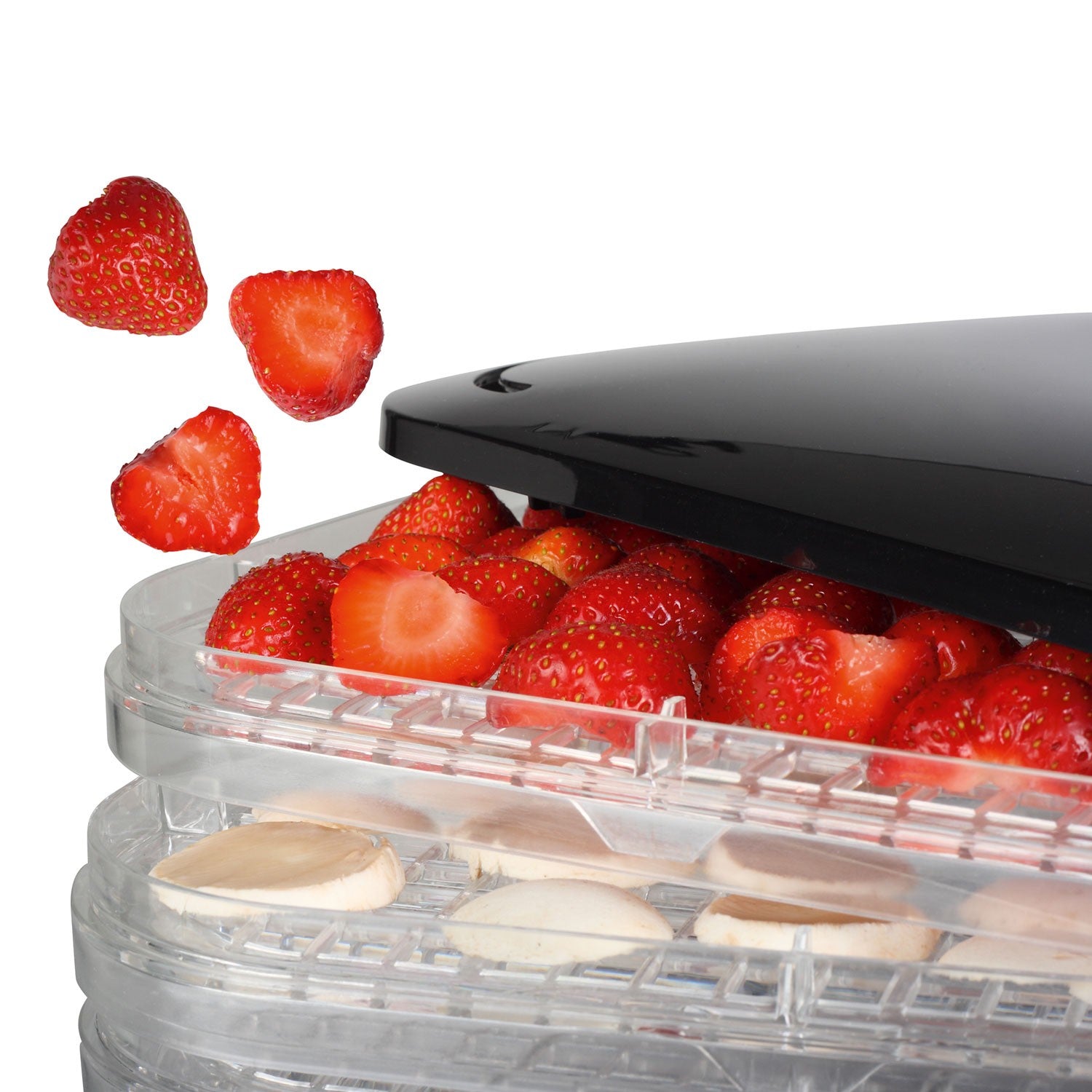 Sponge dryer in 6 Levels Thermostat