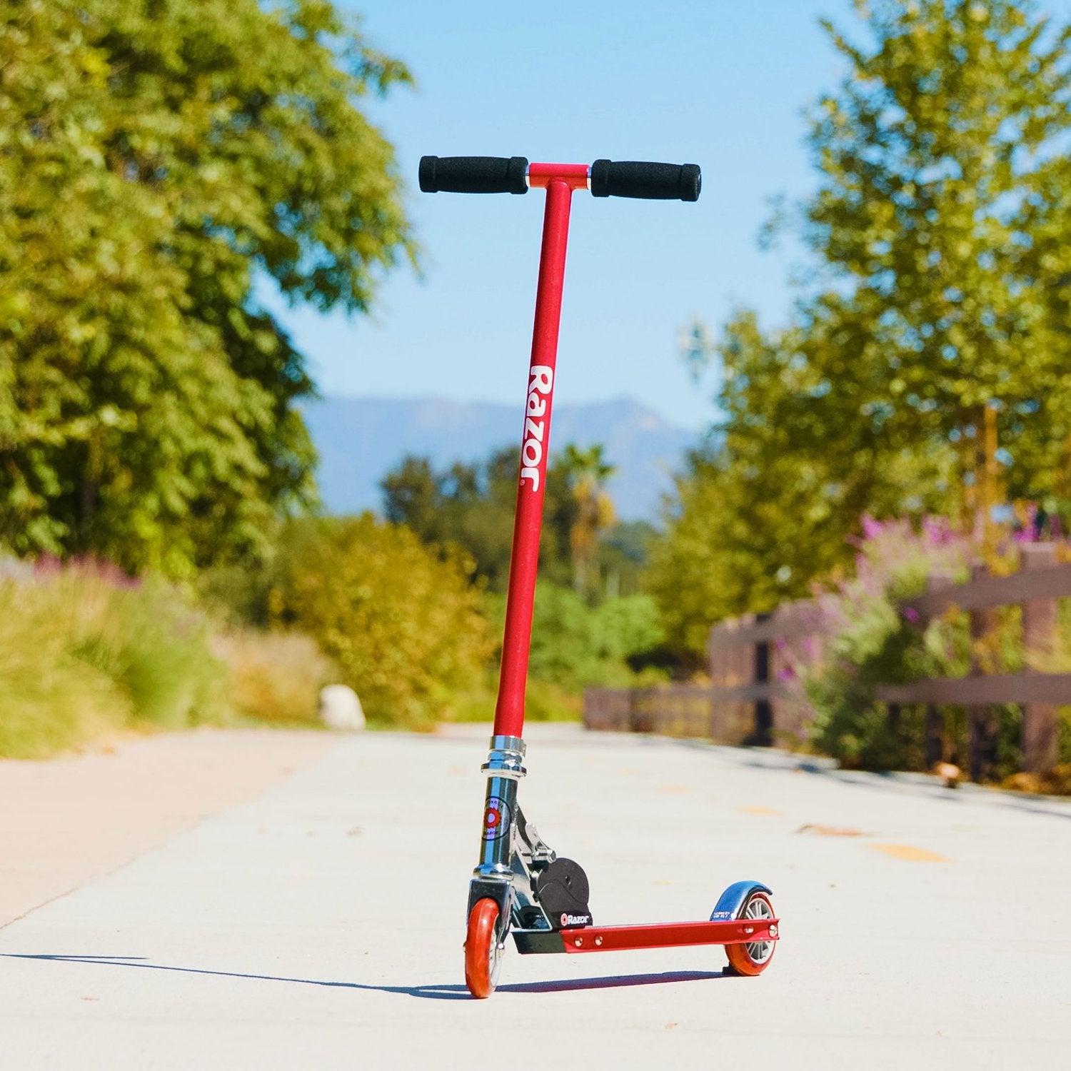 Sports Scooter - Blue