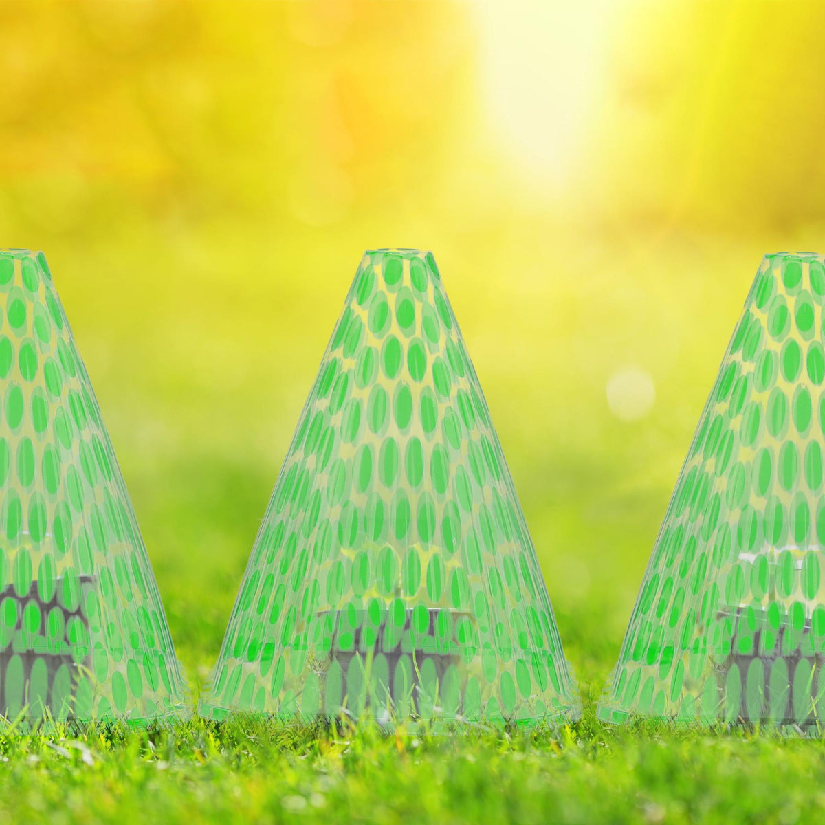 Spotted Green Plant Cone in a Set of 24