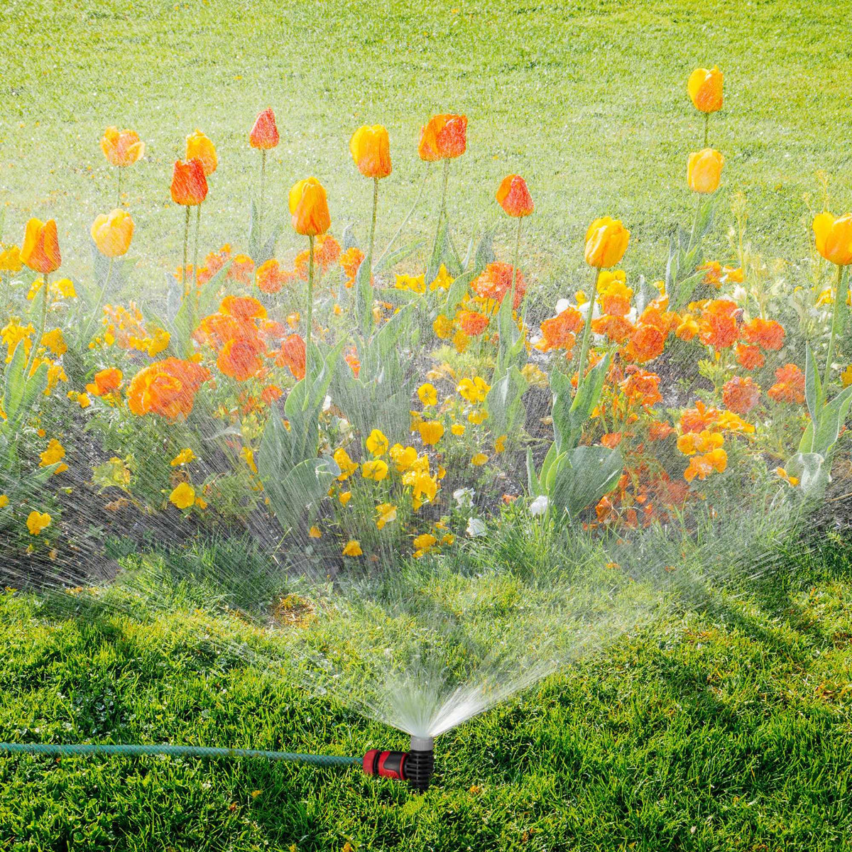 Spray Sprinkler Garden Set of 5