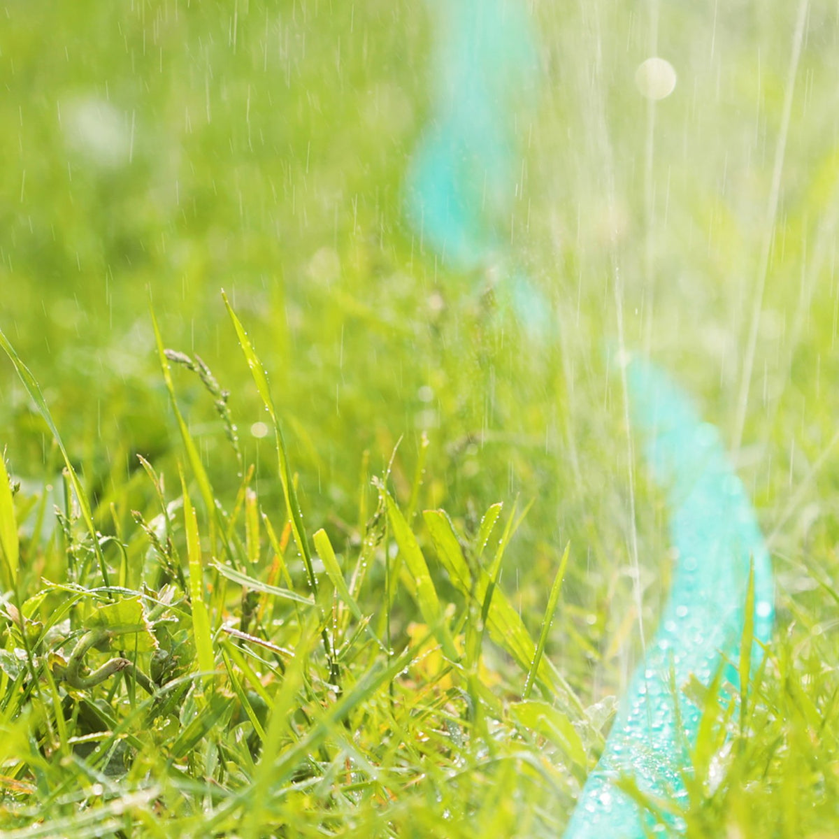 Sprinkler with hose