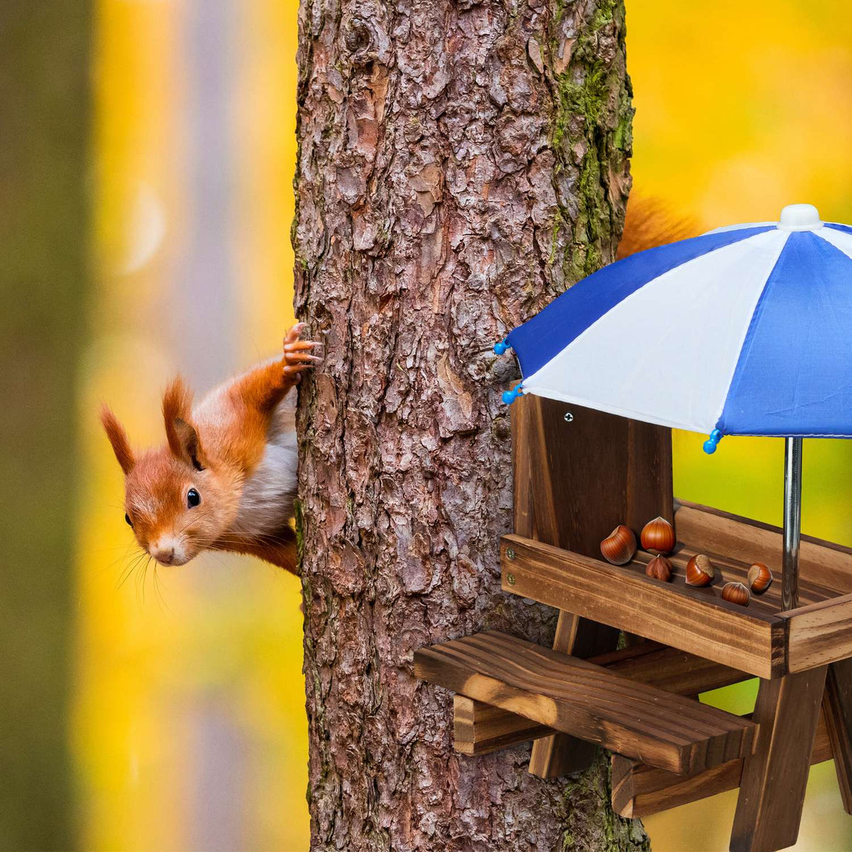 Squirrel Picnic Table Feeder with 2 Umbrellas
