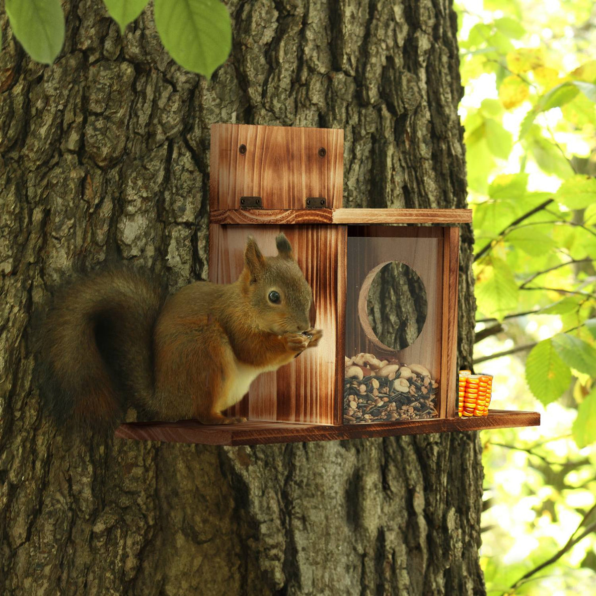 Squirrel feeder with 2 inputs
