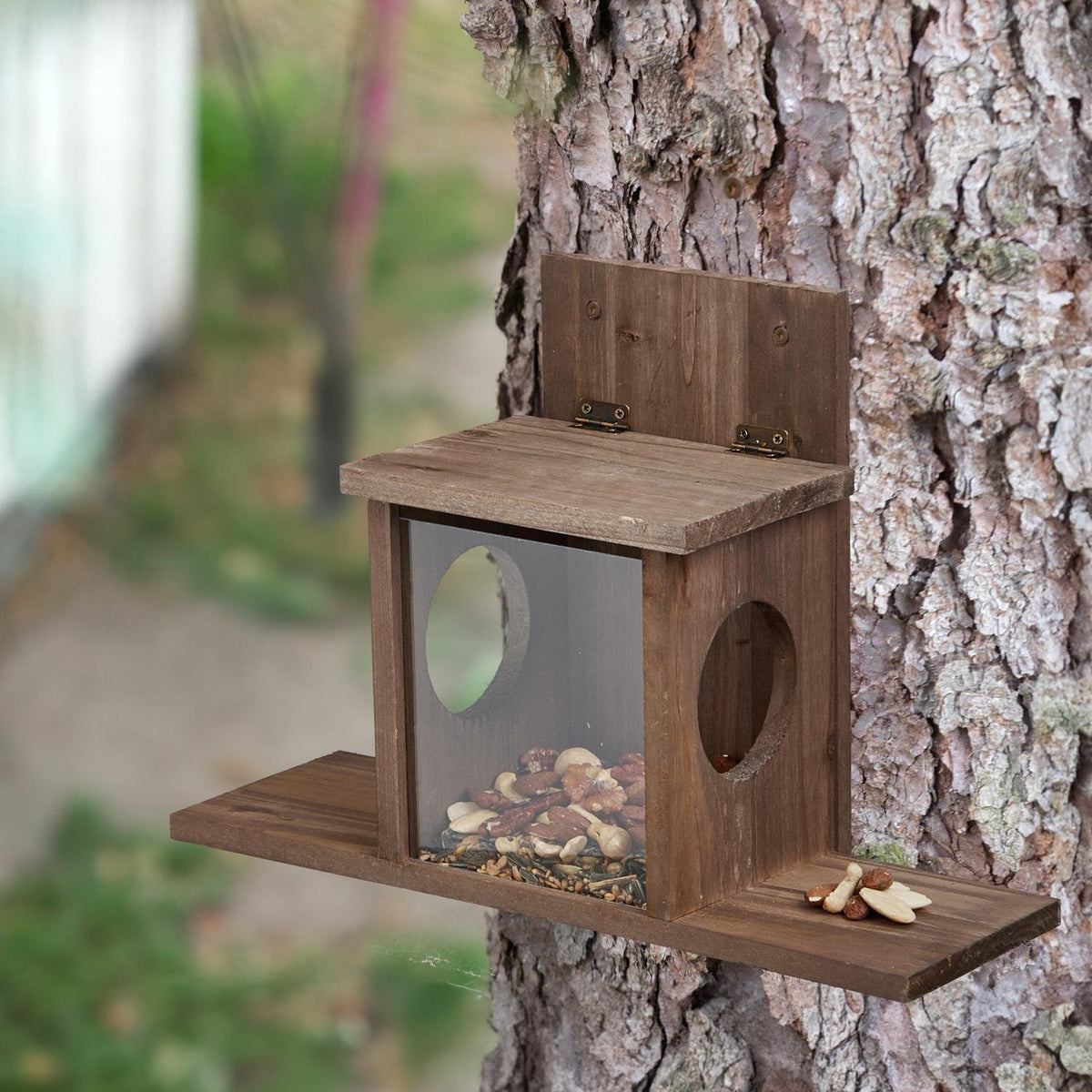 Squirrel feeder with 2 inputs