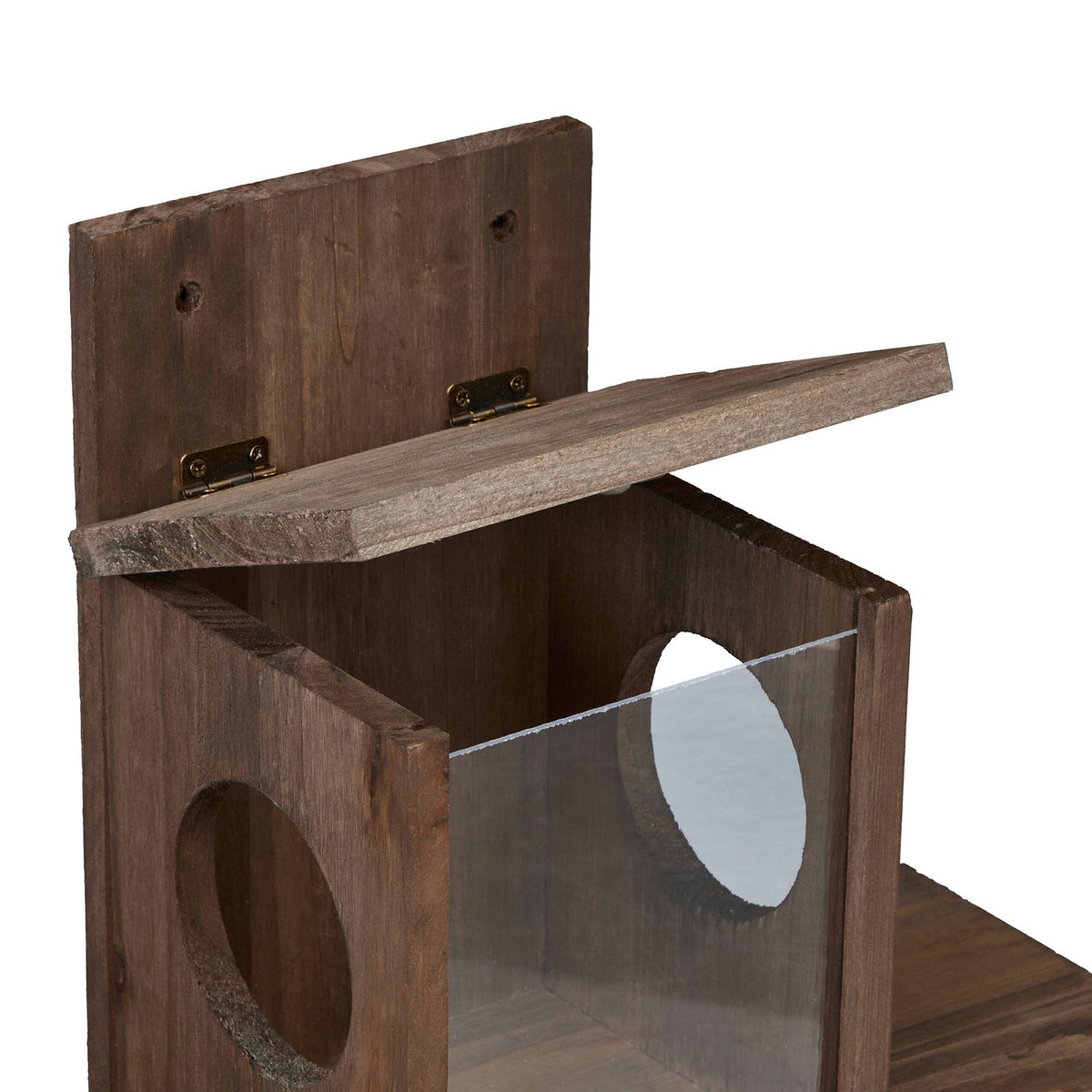 Squirrel feeder with 2 inputs