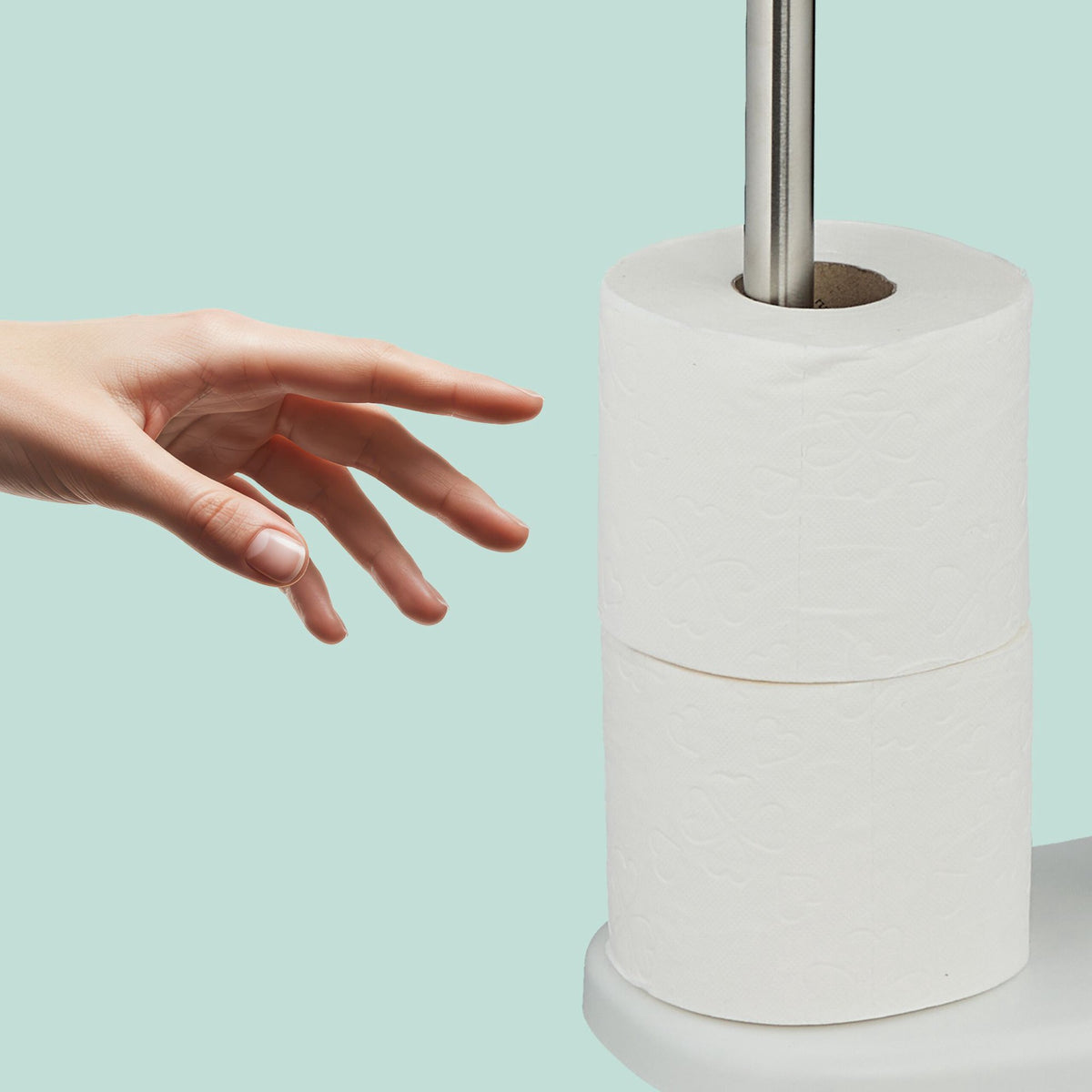 Stainless Steel Toilet Roll Holder with Shelf