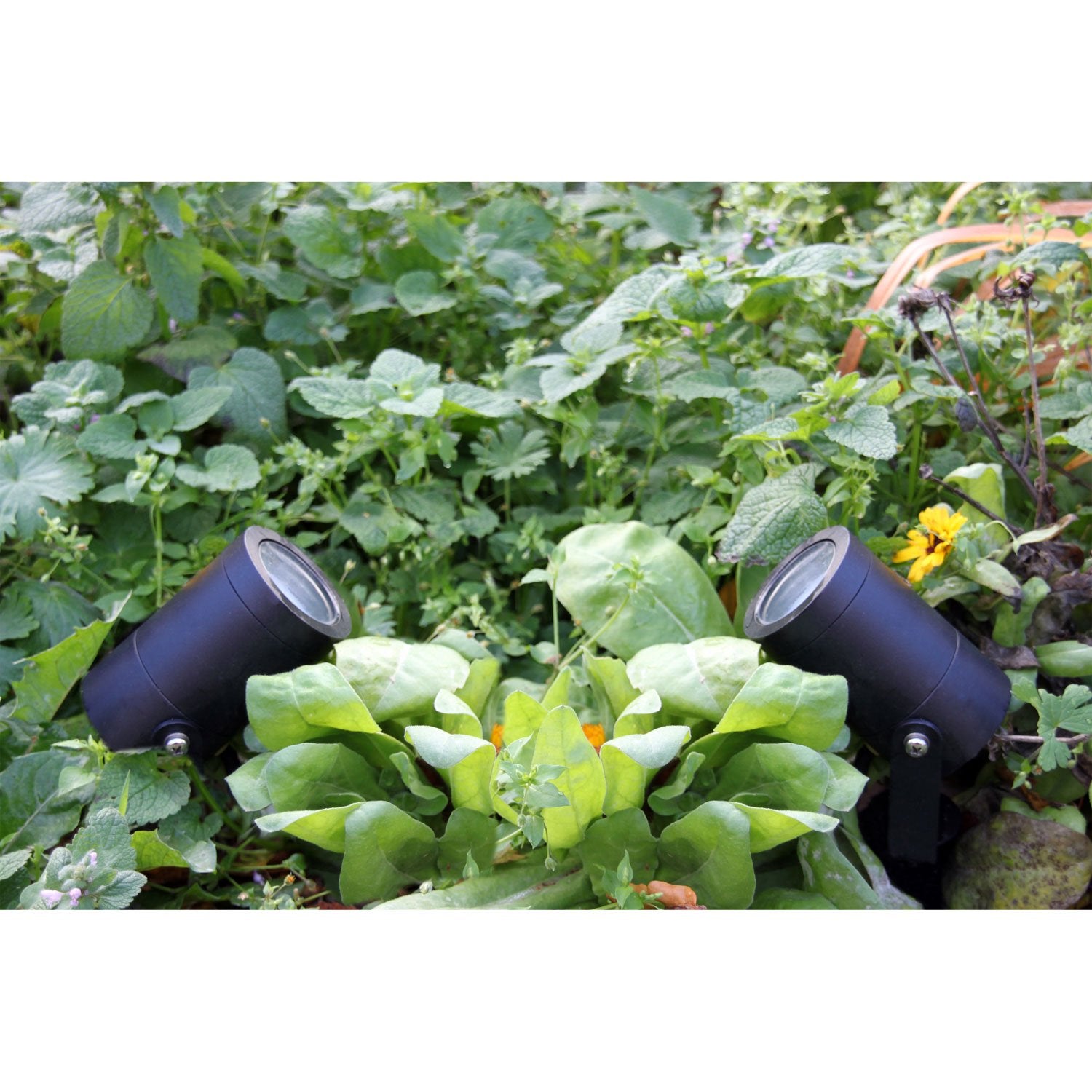 Starter package 2 x Luna Cable Transformer