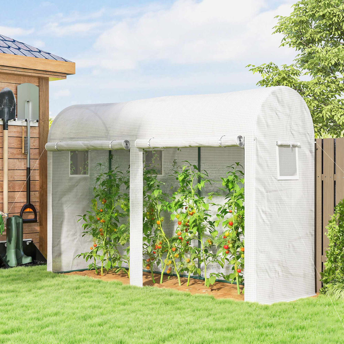 Steel Frame Greenhouse with Windows and Doors, 300x100x200 cm