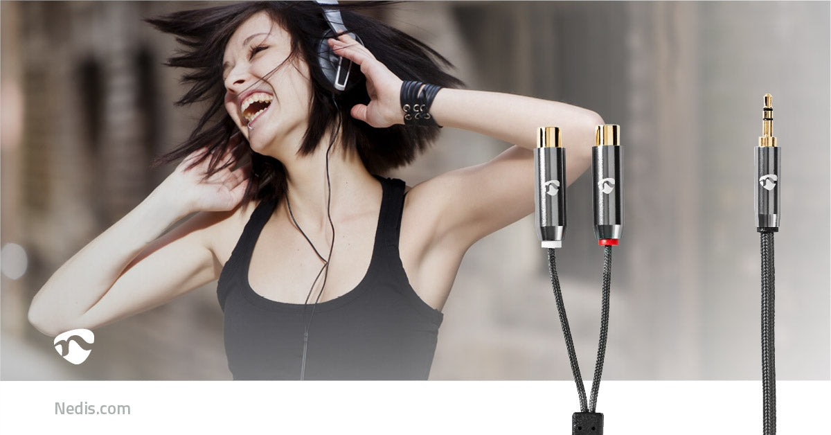 Stereo Audio Cable | 3.5 mm Male | 2x RCA Female | Gold Plated | 0.20 m | Round | Gray / Gray With Metal | Carton with covered window