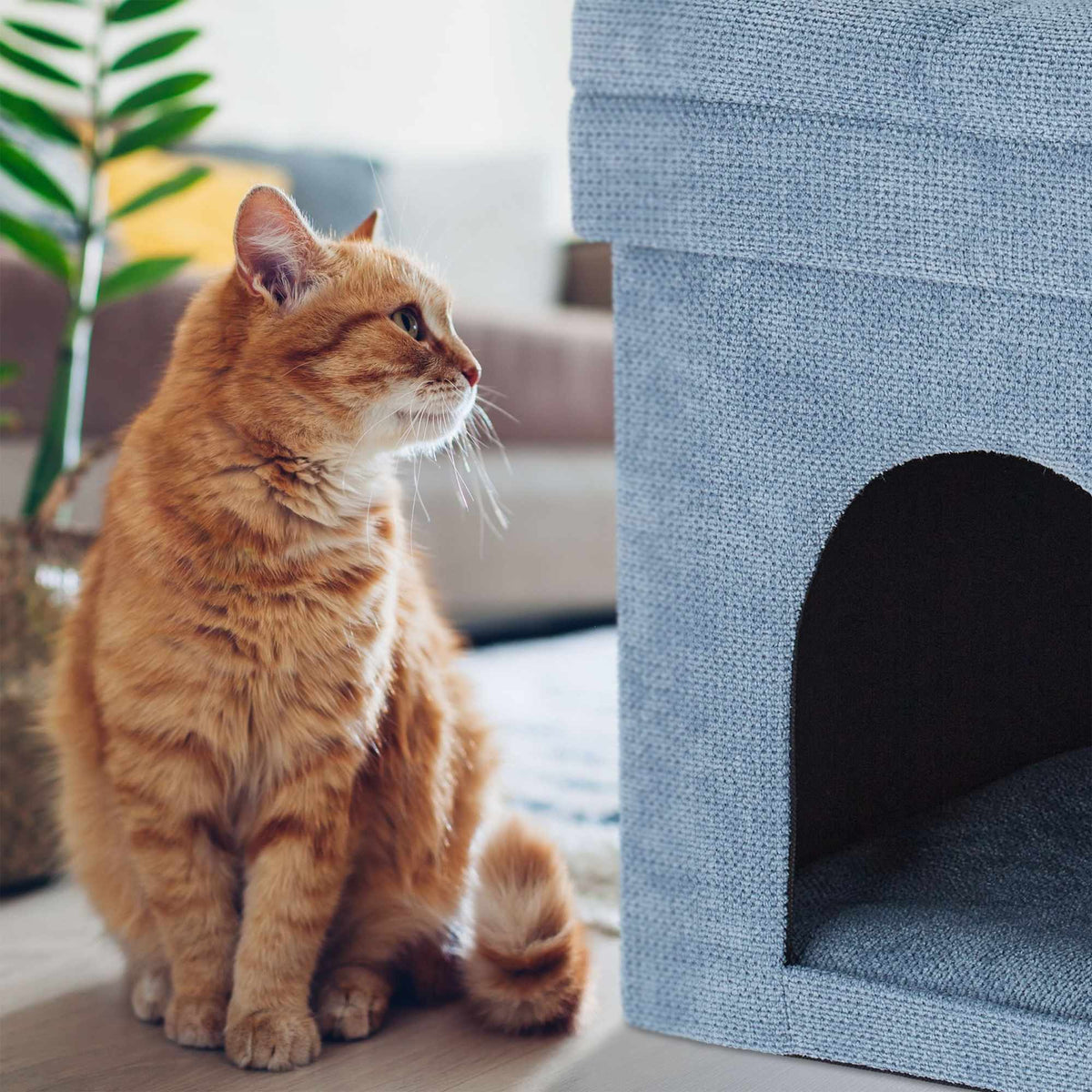 Stool for cat cave in grey