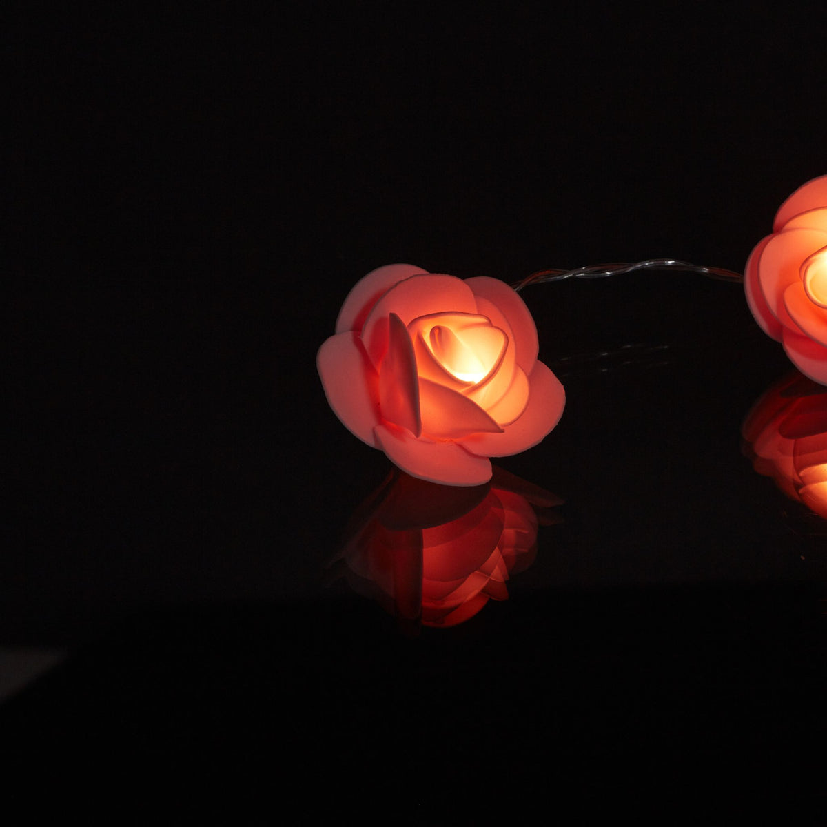 String of lights roses
