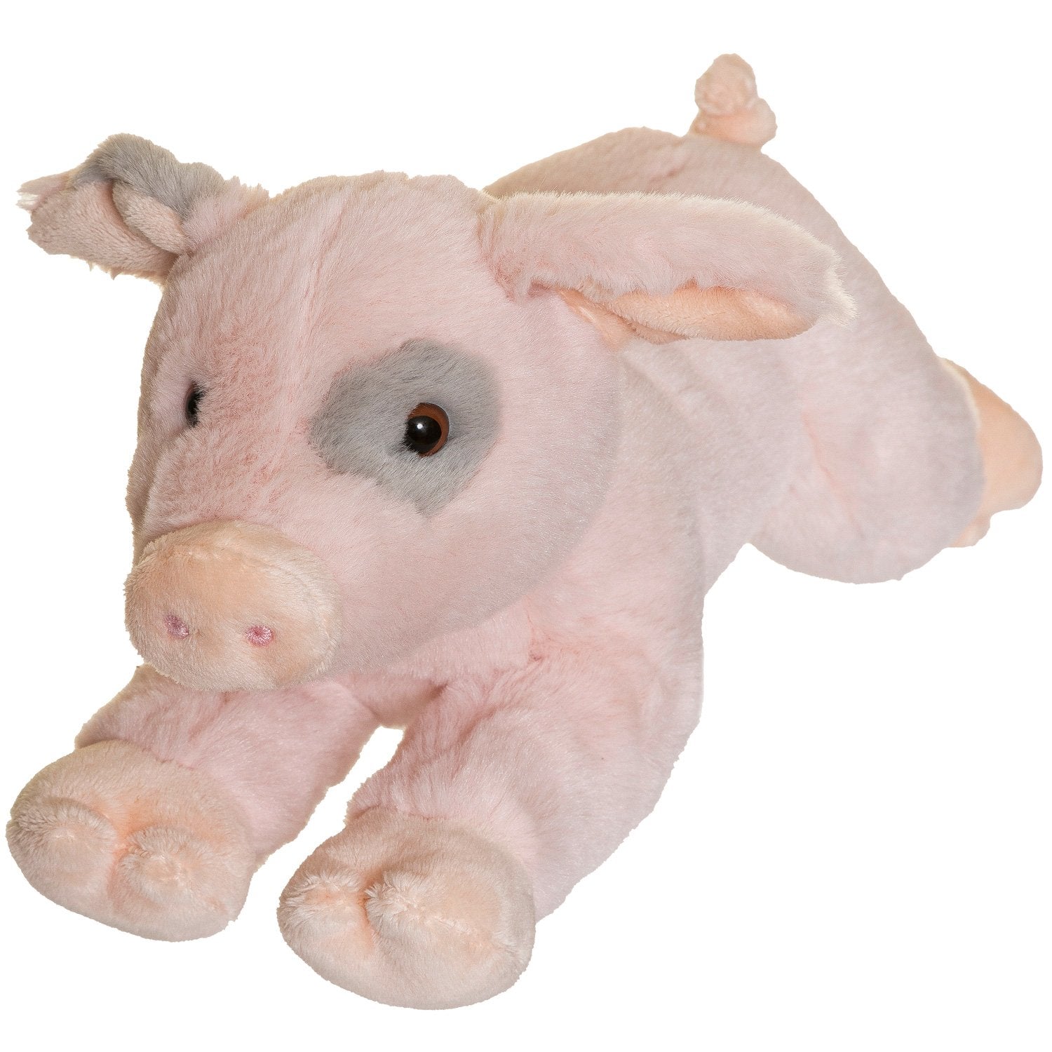 Teddy Farm, Lying Pig