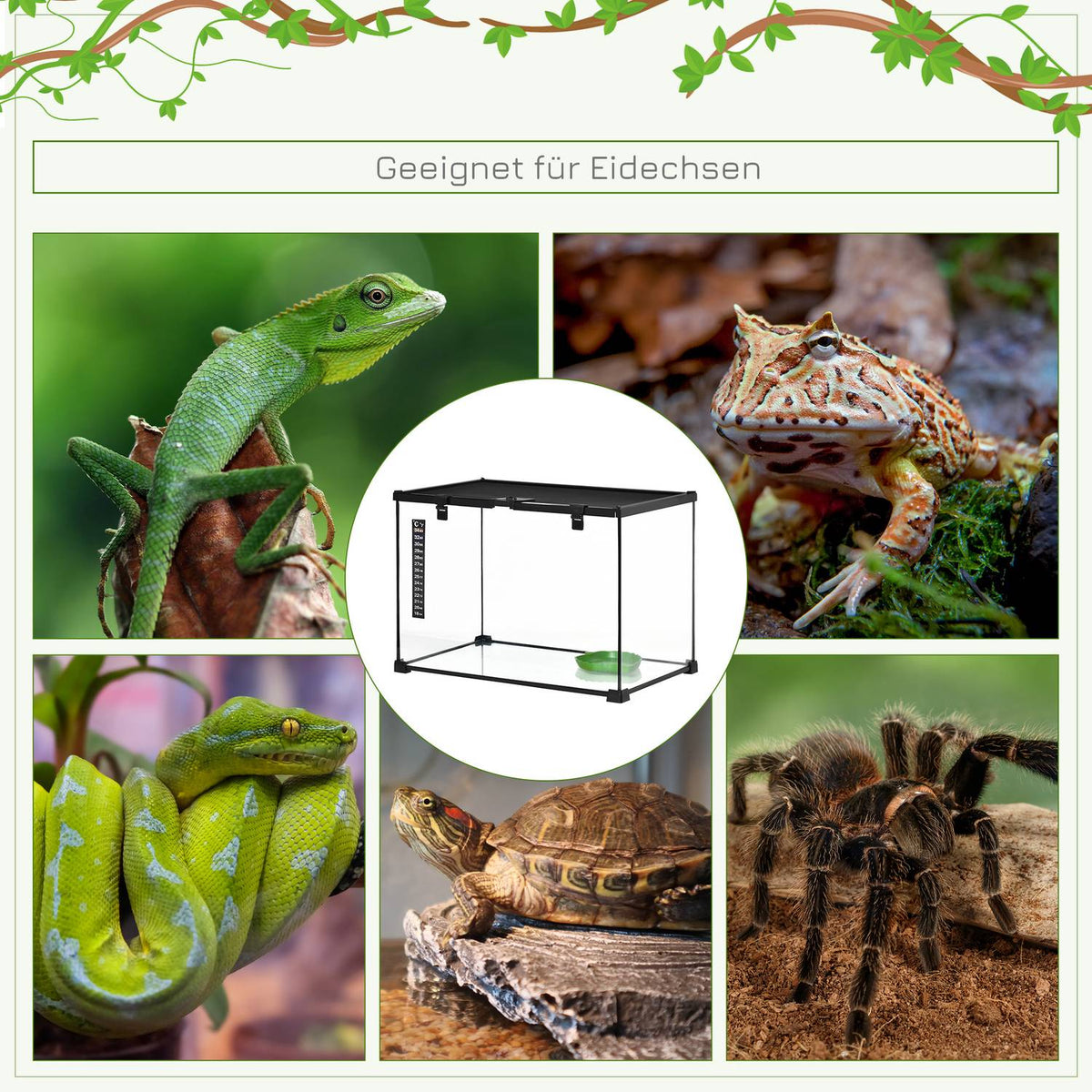 Terrarium For Reptiles Reptile Feeding Box Glass Terrarium Amphibians Arachnids With Thermometer Reptile Breeding Box Metal 50 X 30 X 35 Cm
