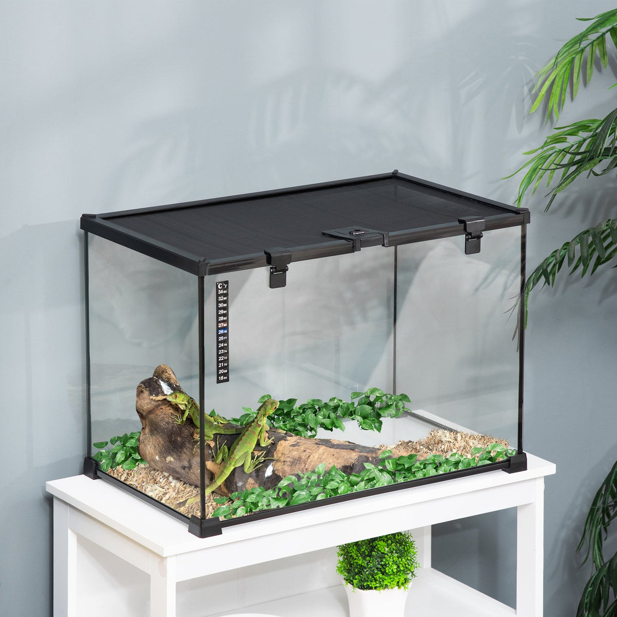 Terrarium For Reptiles Reptile Feeding Box Glass Terrarium Amphibians Arachnids With Thermometer Reptile Breeding Box Metal 50 X 30 X 35 Cm
