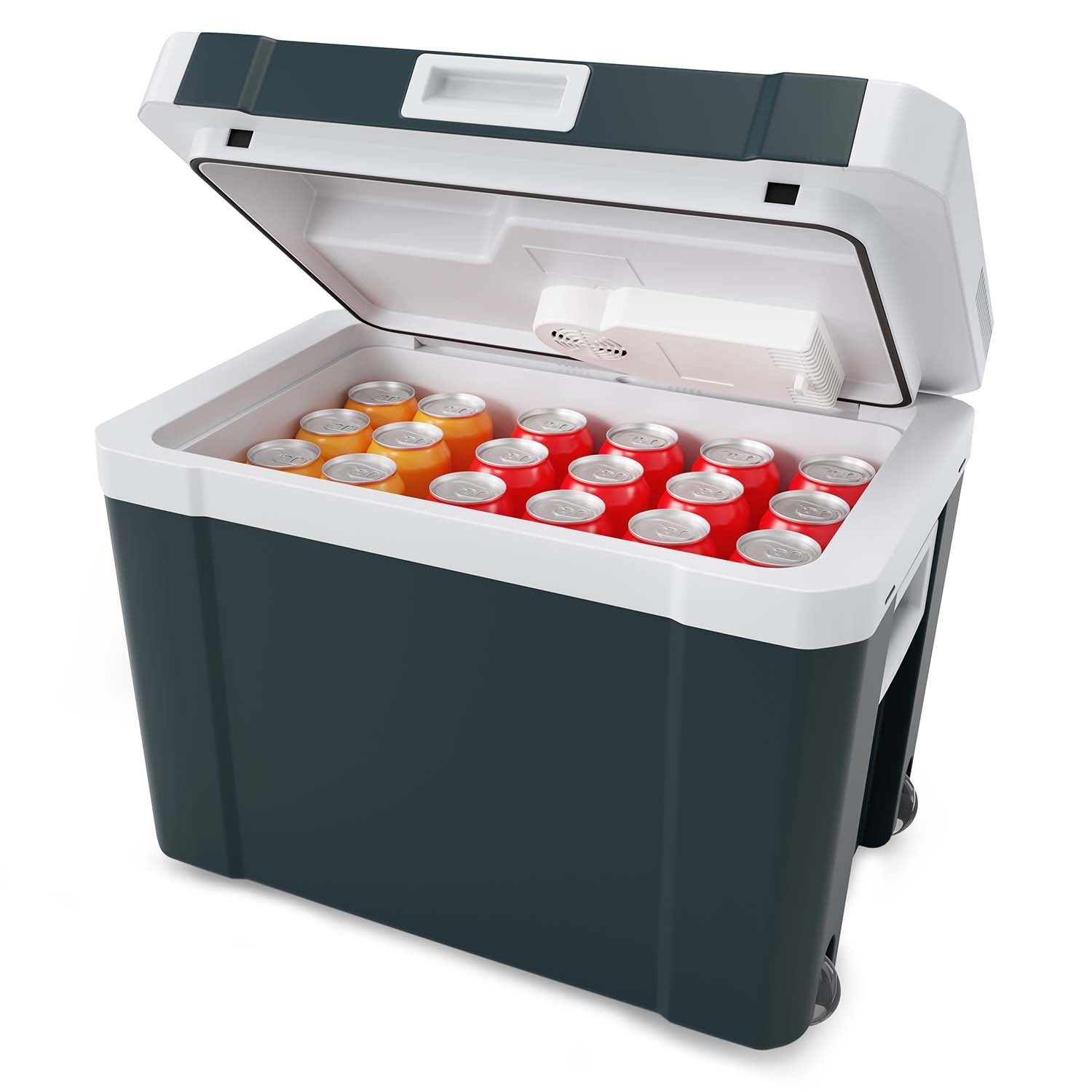 Thermoelectric Cooler, 35L, Dual Voltage 12/230V