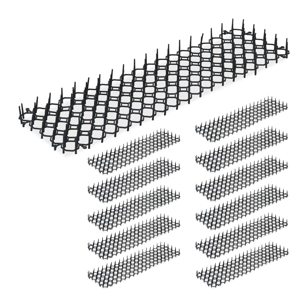 Thorn grid set of 12