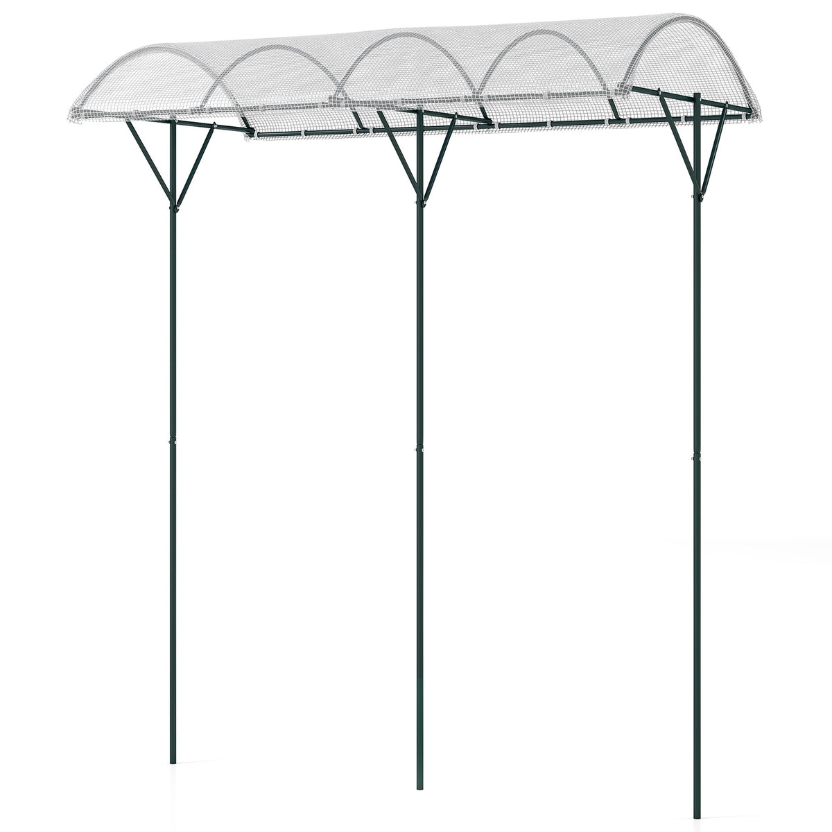 Tomato Plant Shelter with PE Roof & Metal Frame