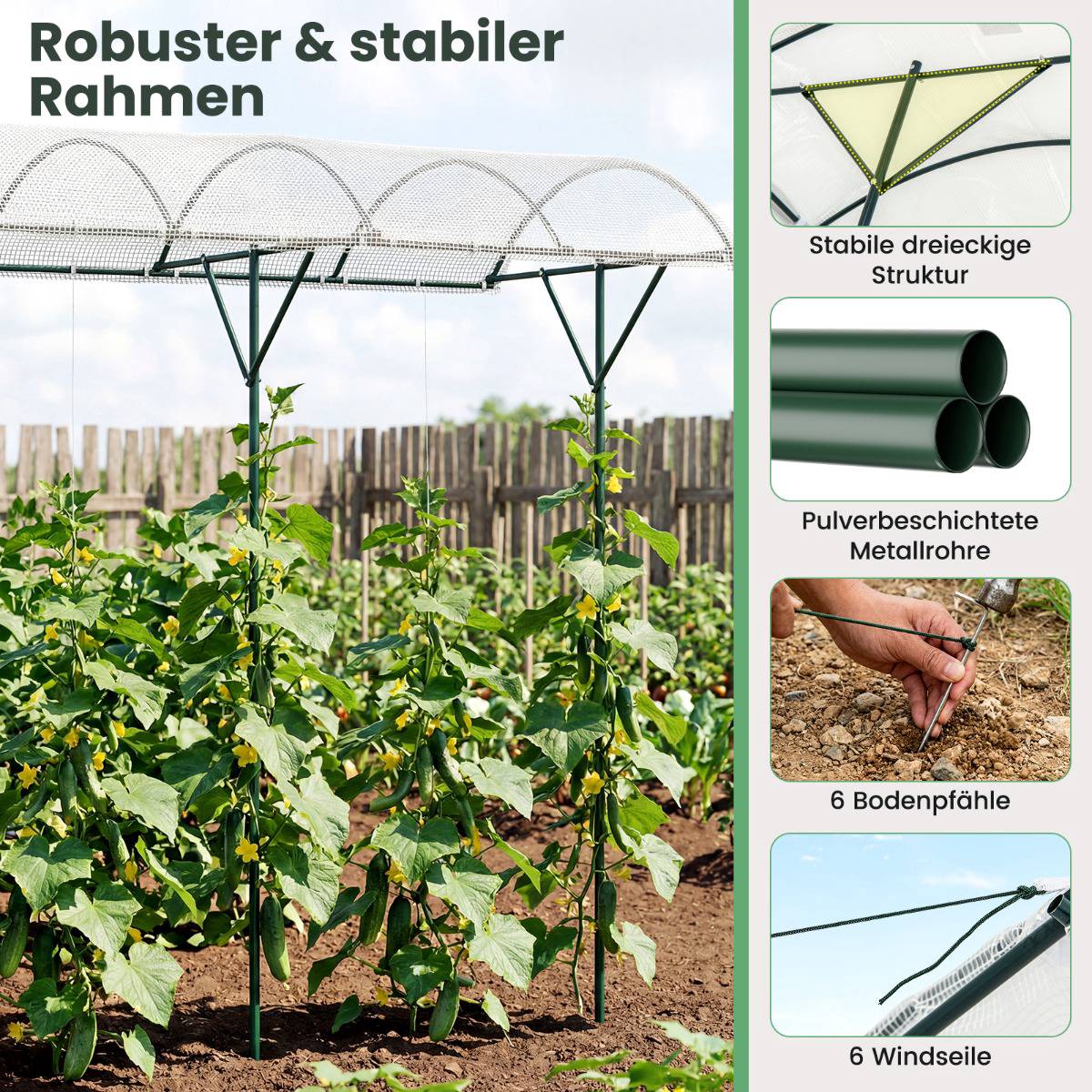 Tomato Plant Shelter with PE Roof & Metal Frame