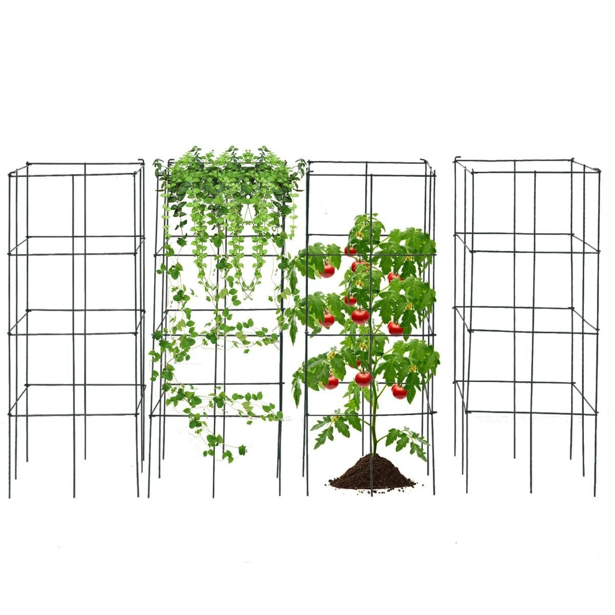 Tomato Plant Support Cage Set, Metal Frame, 100 cm, 4 Pack