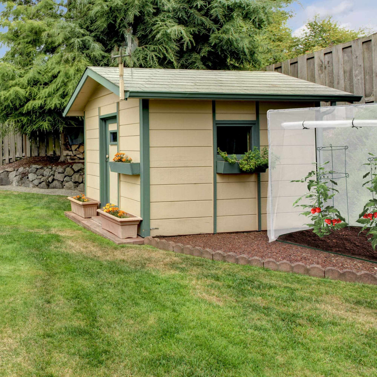 Tomato greenhouse XL with sloping roof