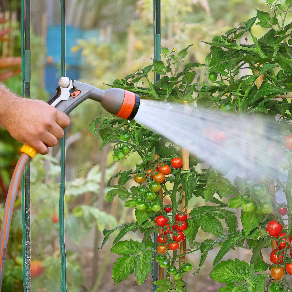 Tomato greenhouse made of PVC plastic