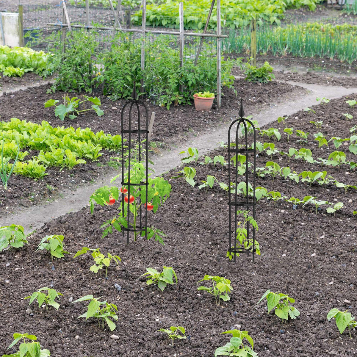 Trellis 100 cm, set of 2