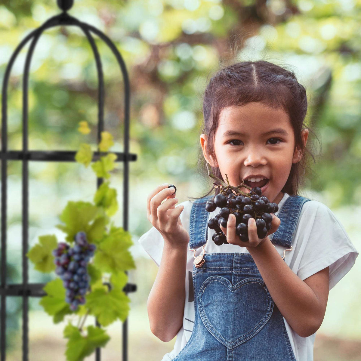Trellis 100 cm, set of 2