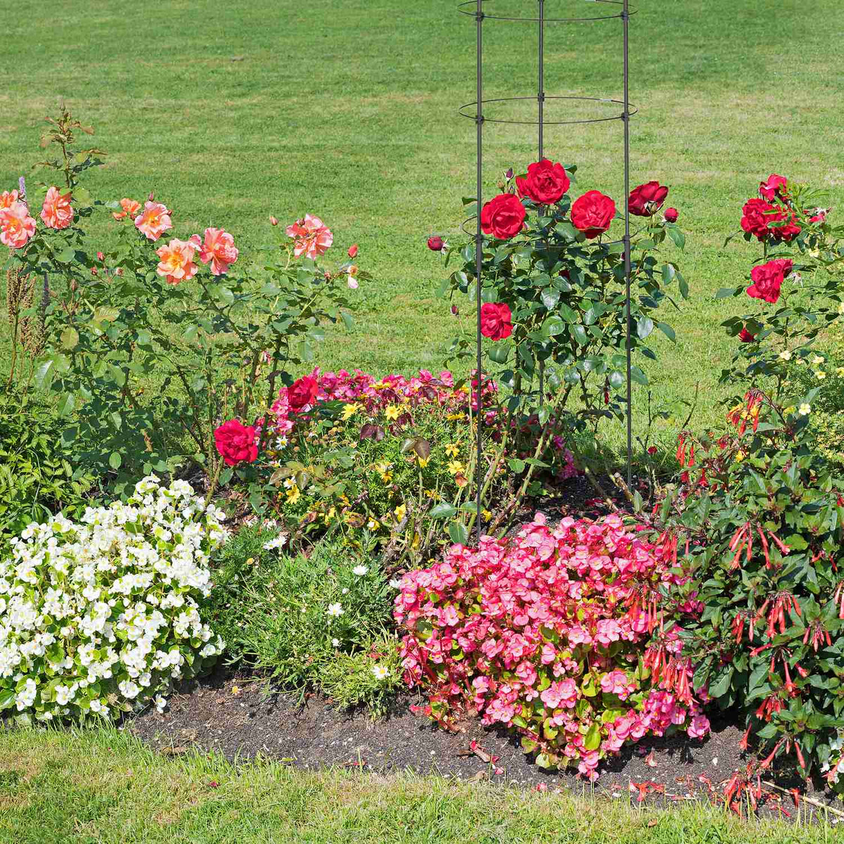 Trellis 120 cm set of 5