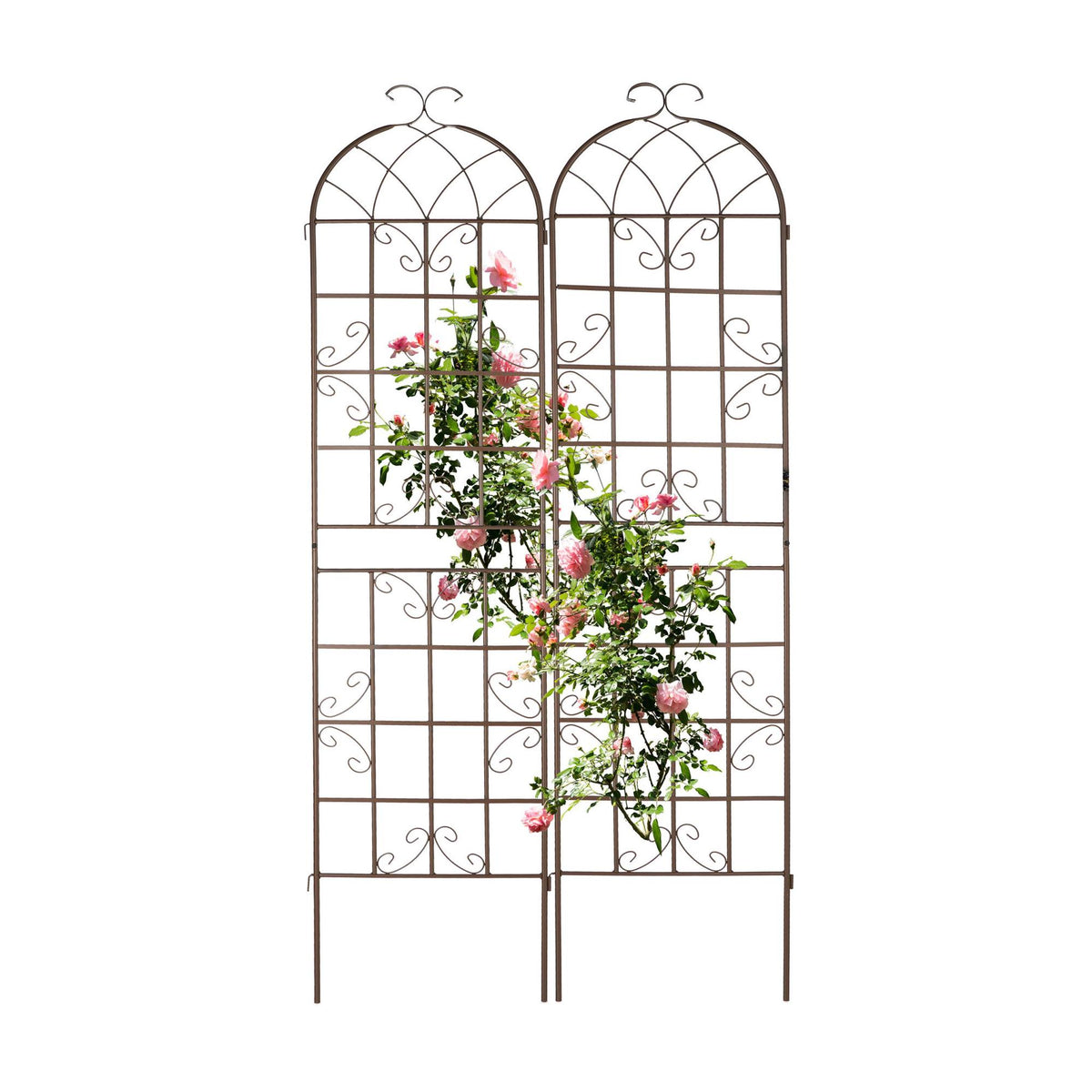 Trellis 220 cm set of 2 brown