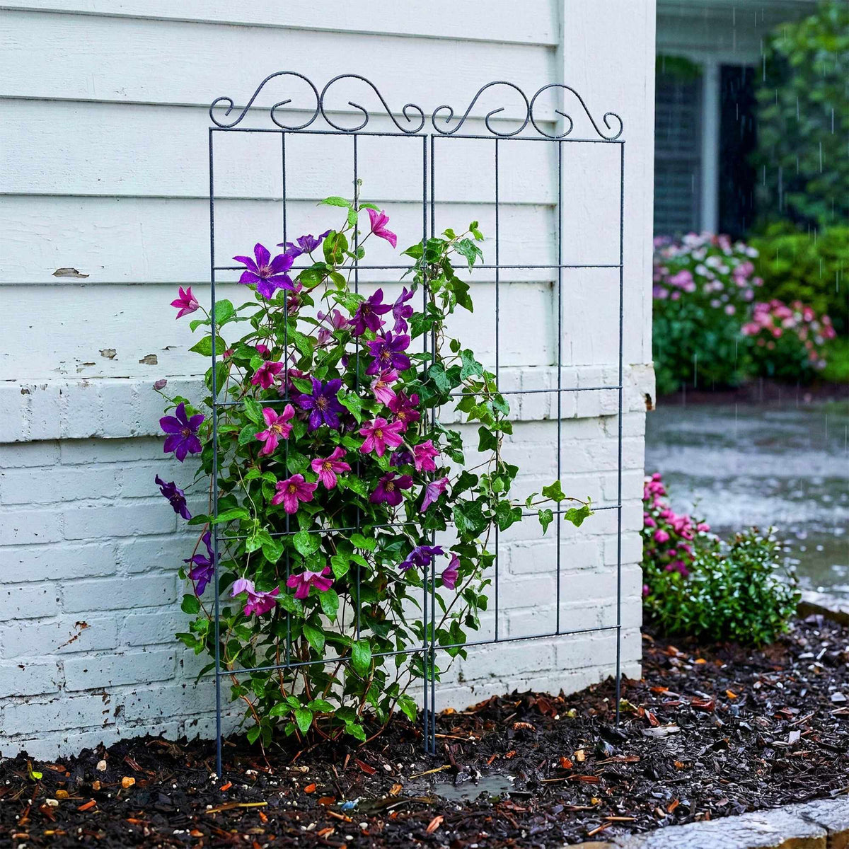 Trellis Set of 4 for Climbing Plants, Metal Support
