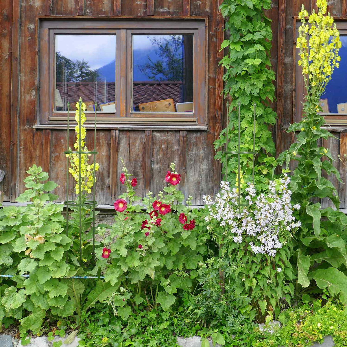 Trellis set of 2
