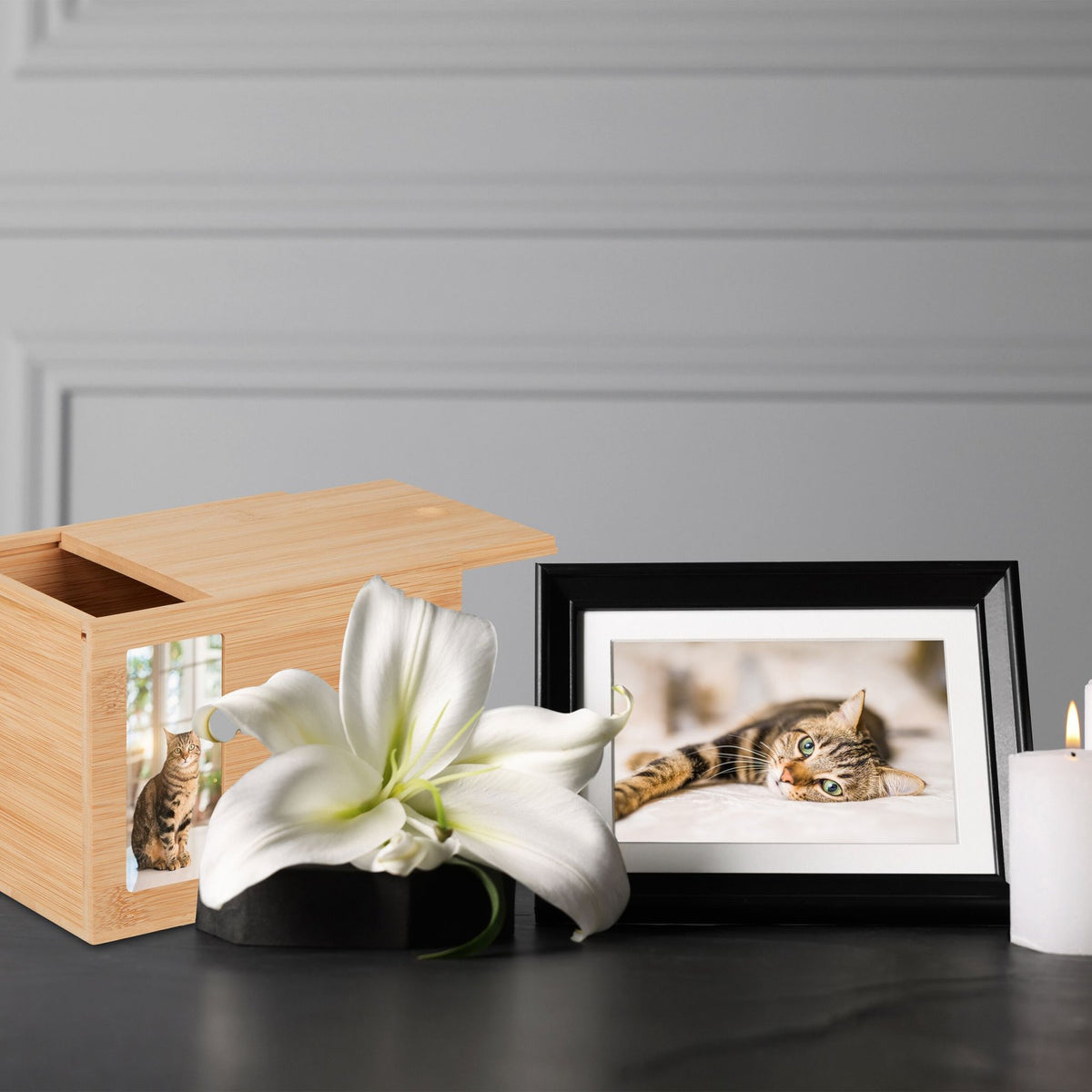 Urn in bamboo for pets