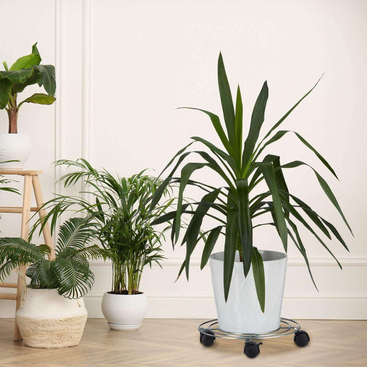 Vegetal's set of 2