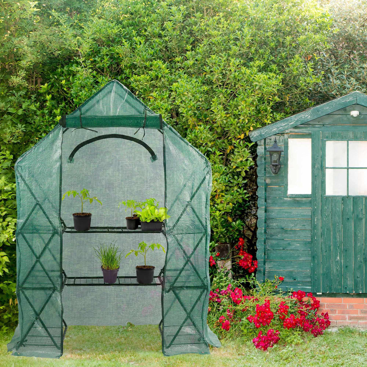 Walk-In Greenhouse